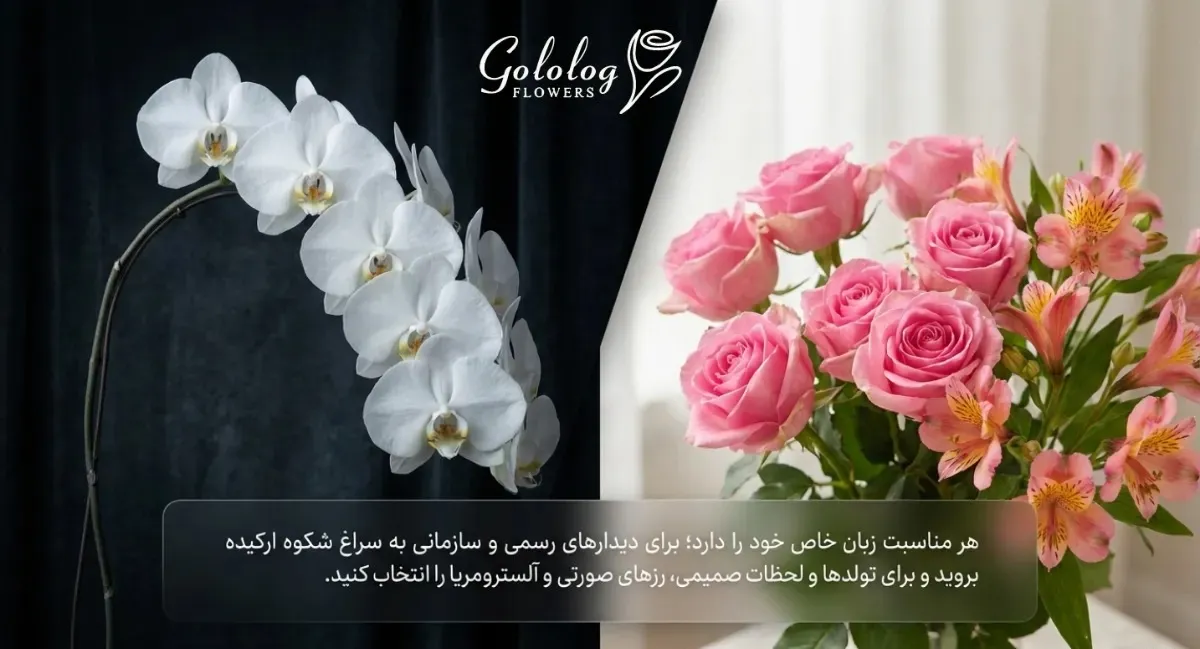 بهترین گل طبیعی برای هدیه؛ هر مناسبت زمان خاص خود را دارد